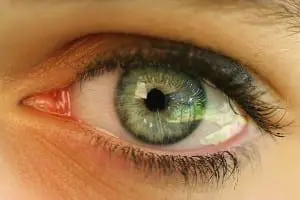 eye